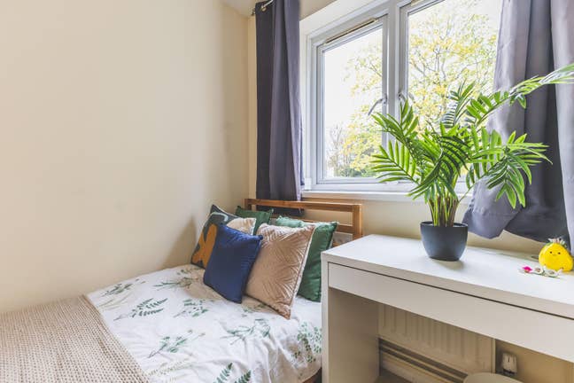🔥Budget room in a Putney flat with Garden🔥 Main Photo