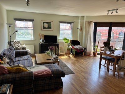 Well maintained flat , ensuite and shared lounge Main Photo