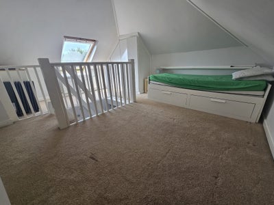 Looking  for  a  Female  House  Mate Main Photo