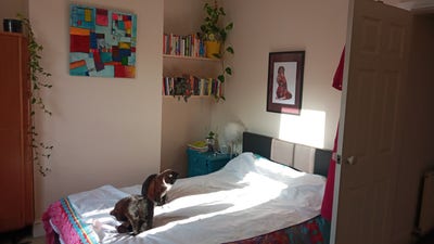 Cosy home with sunny double room to rent Main Photo