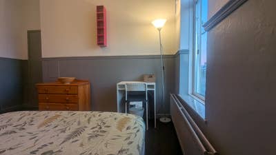 Large Double Room for Student Main Photo