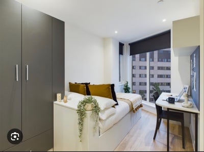 Sheares Hall Luxury ensuite Main Photo