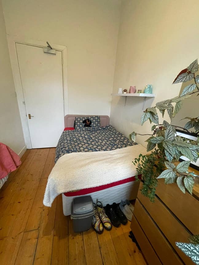 Cozy Room in Friendly Haymarket Flat Main Photo
