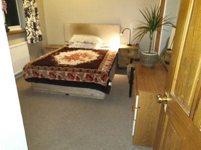 Spacious and Comfortable Room Great Location! Main Photo