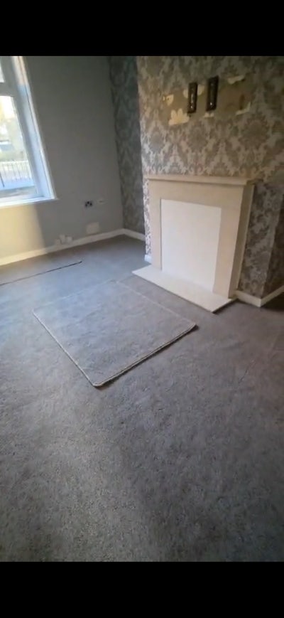 Looking for a housemat Main Photo