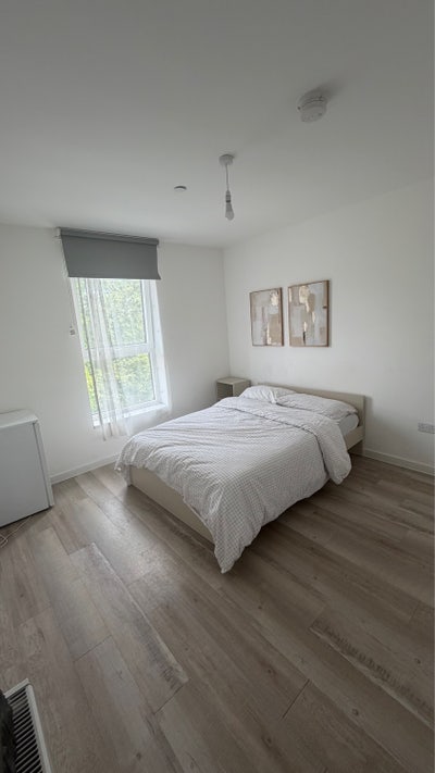 Double Room Available in Friendly Family Home Main Photo