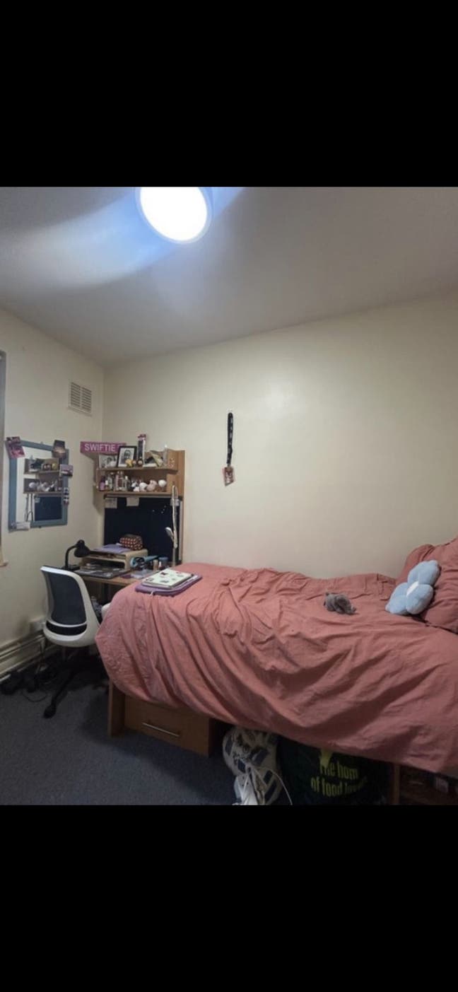 Lovely Shared Female Student Flat  Main Photo