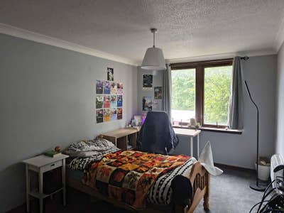 1 room for rent right next to Subway Main Photo