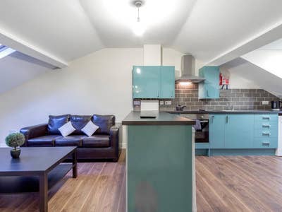 Flatmate needed in Blenheim! Main Photo