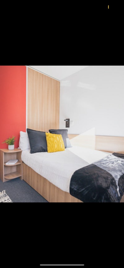Room for rent in student accommodation Main Photo