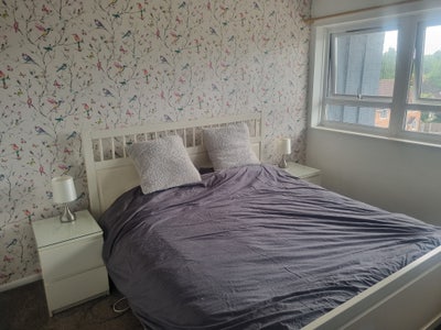 Double room 750 PCM bills & council tax included  Main Photo