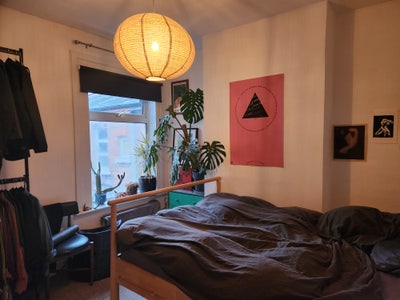 Double Bedroom in 2 Bed Flatshare in Walthamstow Main Photo