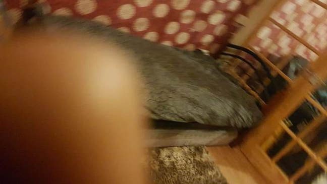 Double Room &pound;550 – Garden & Parking – CT1  Main Photo