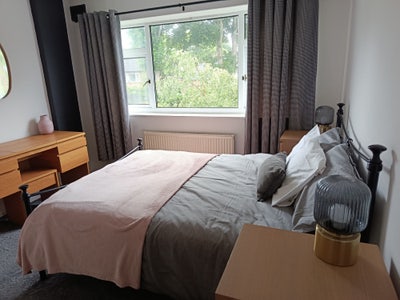 Double Furnished Room, For Female Pet Lover Main Photo