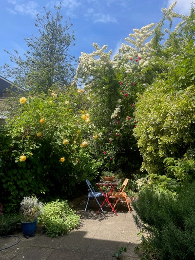 Double room close to tube, with garden and cat  Main Photo