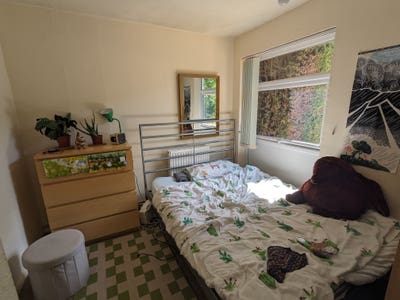 4 bedroom all-girls houseshare in Harborne Main Photo