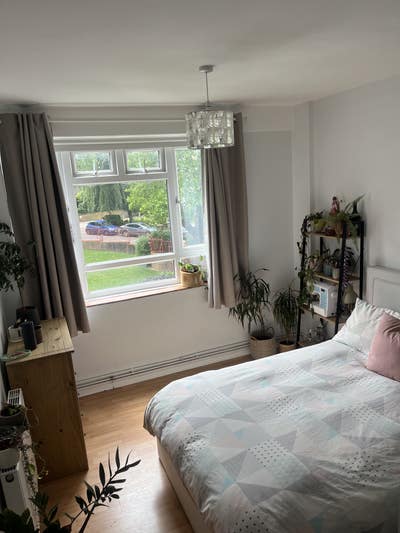 Double Room in creative Flatshare Main Photo