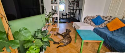 ​BS5 Room nr Church Rd – Home Gym & Yoga Space Main Photo