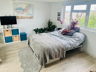 Very Large, Light Room with En Suite Main Photo