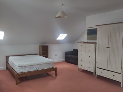 Very spacious en suite room near university  Main Photo