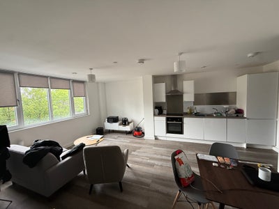 Move by July, get your own bathroom, best location Main Photo