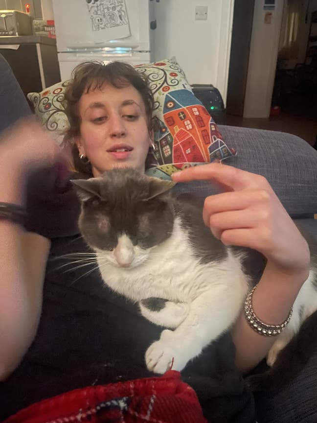 Looking for a double room for me and my cat Main Photo