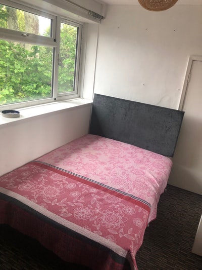 Double room  Main Photo