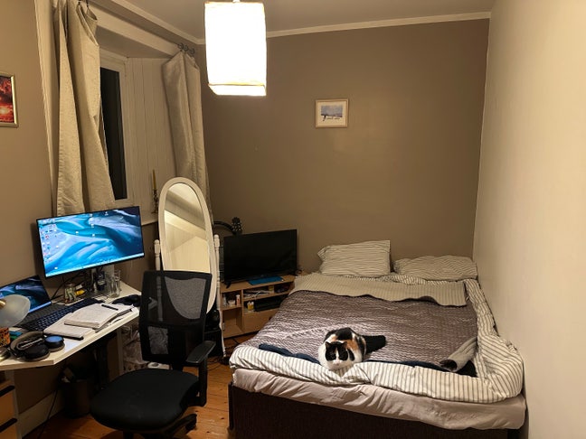 Double room to let  (13 June - 27 June)   Main Photo