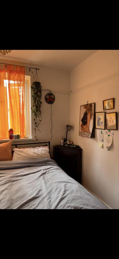 Cosy Room in Homerton Main Photo