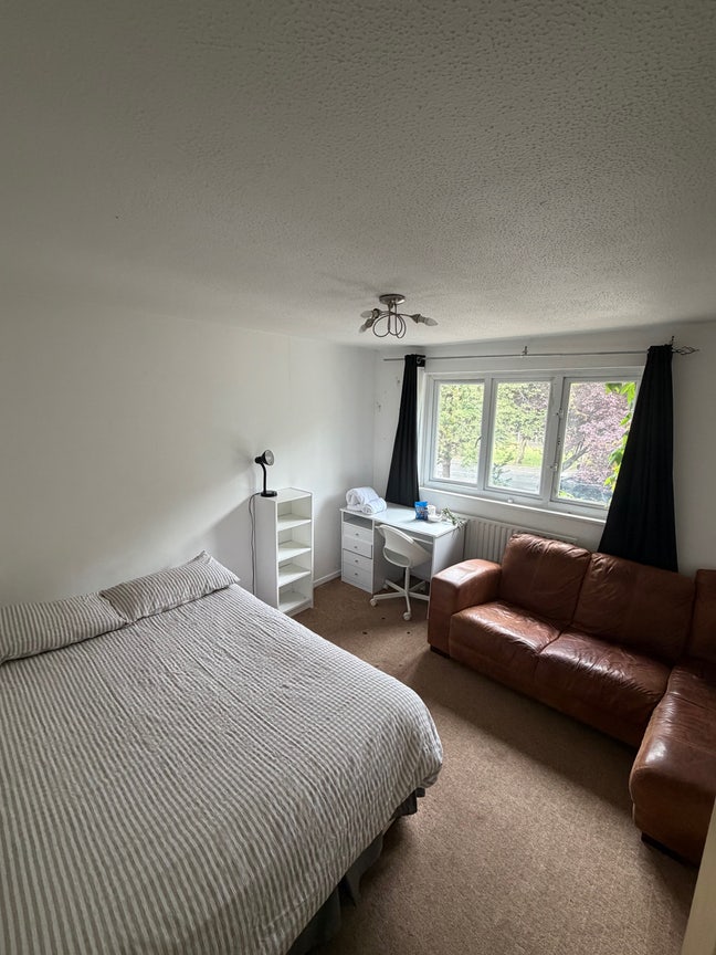 Cozy Room Available  Main Photo