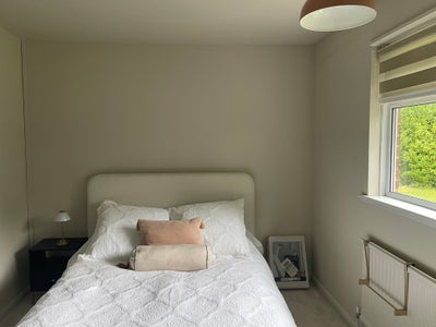 Double room, immaculate, for working female Main Photo