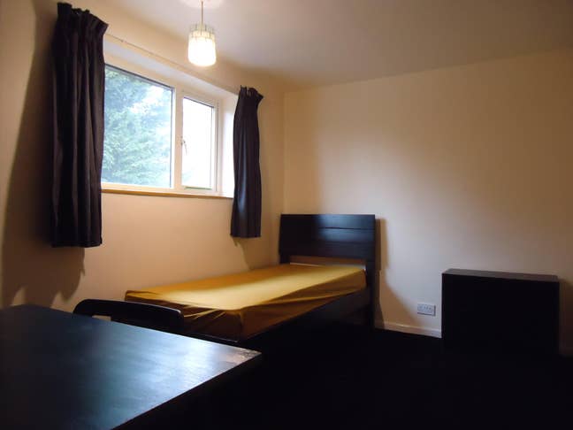 ⭐Excellent Above Average Large Room ⭐☑️ Main Photo