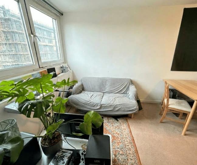 Guardianship: Studio flat in Camden Main Photo