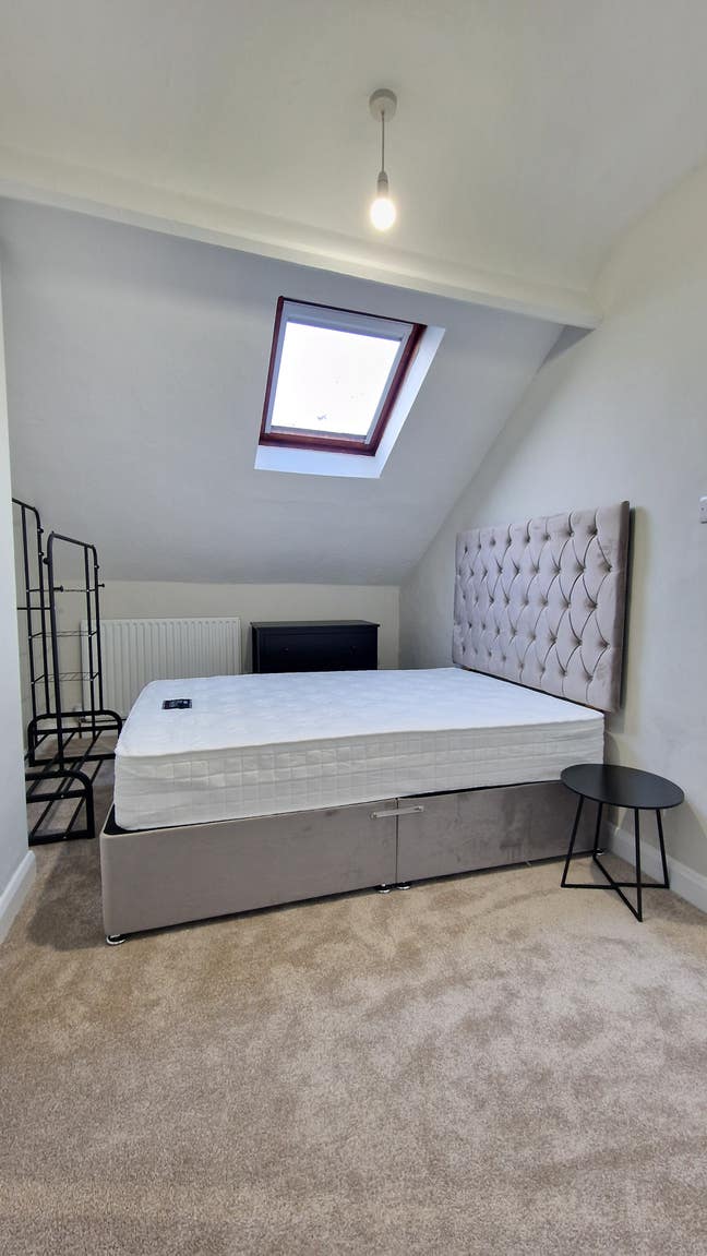 Stunning Ensuite Room on Newington Avenue BT15 Main Photo