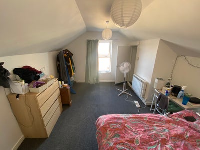 Looking for a flatmate - 2 bed flat in Brynmill Main Photo