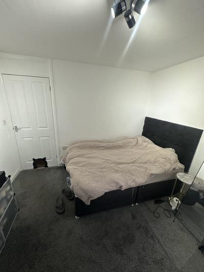 One bed for let  Main Photo