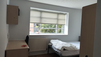 Private room available in Liverpool L3  Main Photo