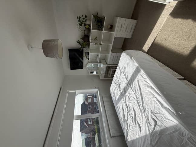 Room for rent in cozy flat  Main Photo