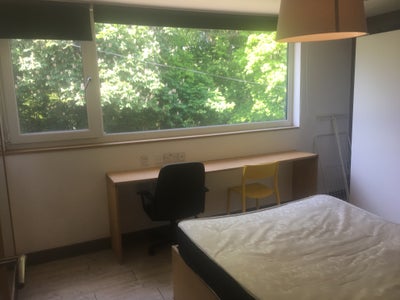 En-suite room available in house close to HRI! Main Photo