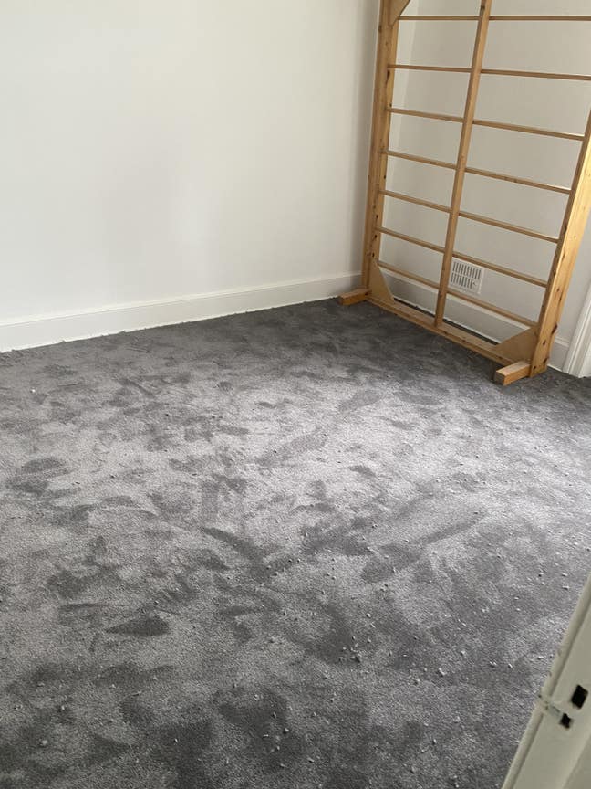Double room in Marchmont Main Photo