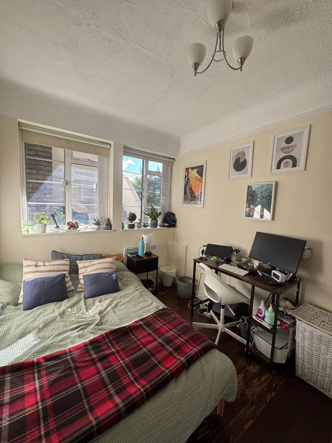 Flatmate wanted in Chiswick area Main Photo