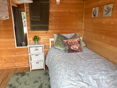 Log cabin room with separate bathroom  Main Photo