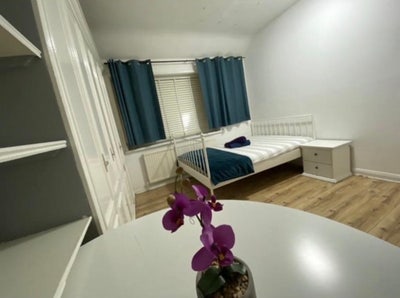Double room in East Acton  Main Photo