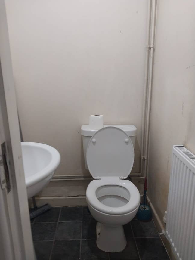 Single room for rent Main Photo