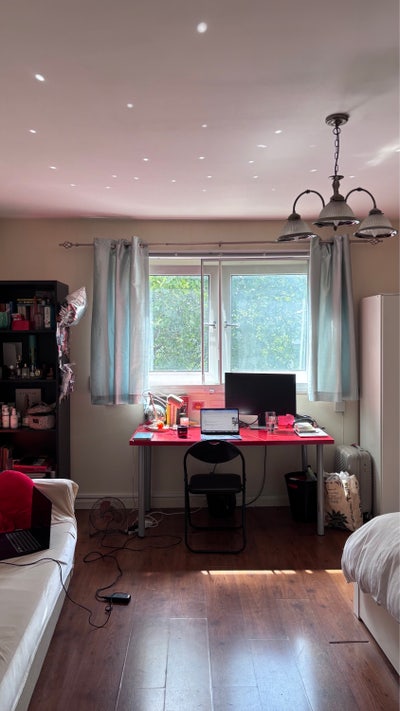 Bright Room Available Near Euston Station & UCL Main Photo