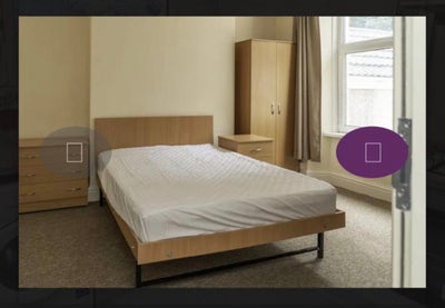 Swansea room in shared house for student let  Main Photo