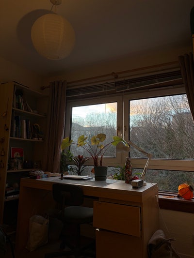 Summer Room Let in Central Edinburgh  Main Photo