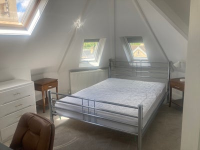 Furnished Room in Lovely Location Main Photo