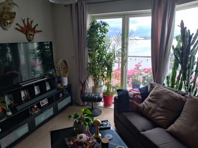 Nice quiet flat by the river Main Photo