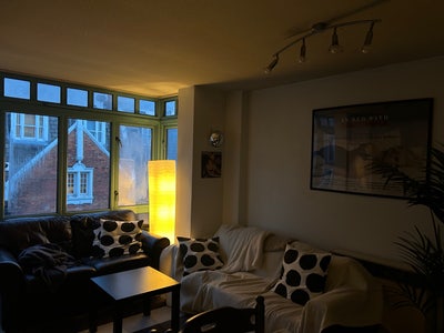 Room Available in Pimlico Main Photo